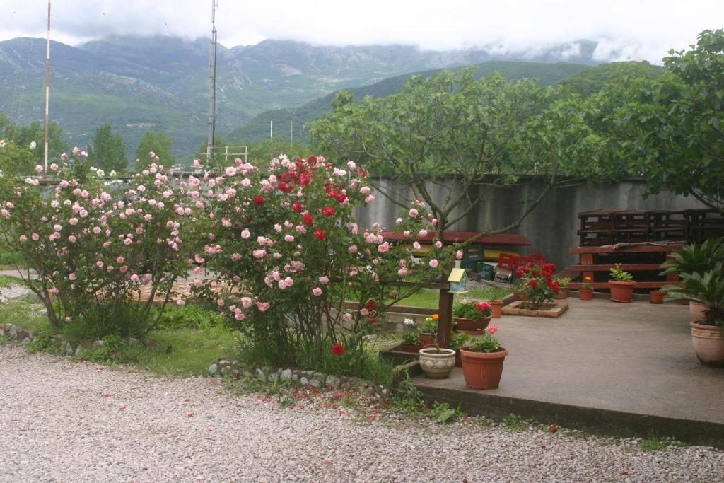Appartement Savina *