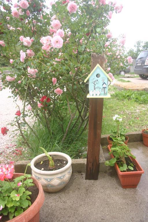 Appartement Savina *